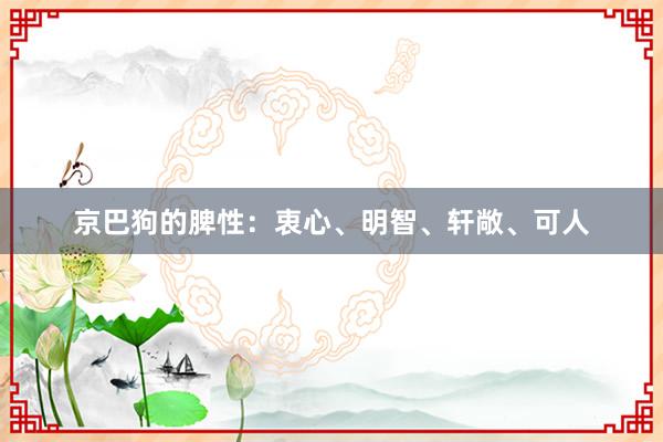 京巴狗的脾性：衷心、明智、轩敞、可人