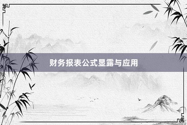 财务报表公式显露与应用